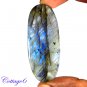 CERTIFIED 100.35Cts. NATURAL GOLDEN FLASH LABRADORITE CABOCHON GEMSTONE C6-2644