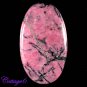 CERTIFIED 66.05Cts. NATURAL RHODONITE CABOCHON GEMSTONE C6-2530