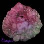 CERTIFIED 136.59Cts. SOLAR DRUZY AGATE GEODE CABOCHON GEMSTONE C6-1017