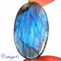 CERTIFIED 68.93Cts. NATURAL LABRADORITE BLUE FLASH CABOCHON GEMSTONE C6-23