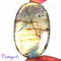 CERTIFIED 177.70Cts. NATURAL GOLDEN FLASH LABRADORITE CABOCHON GEMSTONE C6-254