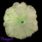 CERTIFIED 70.50Cts. SOLAR DRUZY AGATE GEODE CABOCHON GEMSTONE C6-712