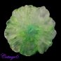 CERTIFIED 74.55Cts. SOLAR DRUZY AGATE GEODE CABOCHON GEMSTONE C6-736