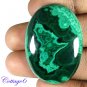 CERTIFIED 96.24Cts. NATURAL GREEN MALACHITE CABOCHON GEMSTONE C6-220