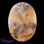 CERTIFIED 51.05Cts. NATURAL AUSTRALIAN JASPER CABOCHON GEMSTONE C6-321