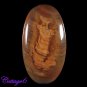 Certfied 54.25Cts. NATURAL JASPER CABOCHON GEMSTONE C6-318