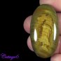 Certfied 54.25Cts. NATURAL JASPER CABOCHON GEMSTONE C6-318