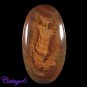 Certfied 54.25Cts. NATURAL JASPER CABOCHON GEMSTONE C6-318