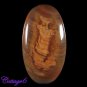 Certfied 54.25Cts. NATURAL JASPER CABOCHON GEMSTONE C6-318