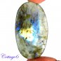 Certfied 98.05Cts. NATURAL GOLDEN FLASH LABRADORITE CABOCHON GEMSTONE C6-2591