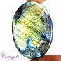 Certified 107.50Cts. NATURAL MULTY FIRE LABRADORITE OVAL SHAPE CABOCHON GEMSTONE C6-2149