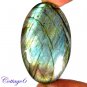 Certified 110.85Cts. NATURAL MULTY FIRE LABRADORITE OVAL SHAPE CABOCHON GEMSTONE C6-2158