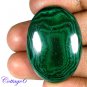 Certified 69.52Cts. NATURAL GREEN MALACHITE CABOCHON GEMSTONE C6 140
