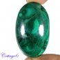 Certified 69.72Cts. NATURAL GREEN MALACHITE CABOCHON GEMSTONE C6 174