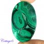 Certified 69.72Cts. NATURAL GREEN MALACHITE CABOCHON GEMSTONE C6 174
