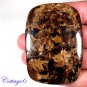 Certified  227.00Cts. NATURAL BRONZITE CUSHION SHAPE CABOCHON GEMSTONE C6-2247