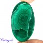 certified 116.51Cts. NATURAL GREEN MALACHITE CABOCHON GEMSTONE C6 163