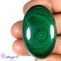 Certiofied 110.28Cts. NATURAL GREEN MALACHITE CABOCHON GEMSTONE C6 194