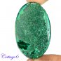 Certiofied 110.28Cts. NATURAL GREEN MALACHITE CABOCHON GEMSTONE C6 194