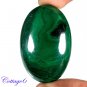 Certified 86.62Cts. NATURAL GREEN MALACHITE CABOCHON GEMSTONE C6 157