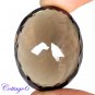 Certified 78.29Cts. NATURAL SMOKY QUARTZ CUT GEMSTONE C6-47