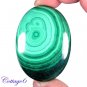 Certified 246.10Cts. NATURAL GREEN MALACHITE OVAL CABOCHON GEMSTONE C6-2195