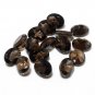 Certified Natural Smoky Quartz AAA Quality 6x4 mm Faceted Oval 50 pcs lot loose gemstone