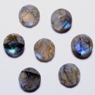Natural Labrodroite AAA Quality 16x12 mm Faceted Oval 5 pcs Lot Loose Gemstone