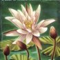 Flowers Golden Nature Guide by Zim, Herbert