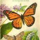 Butterflies and Moths by Zim, Herbert S.