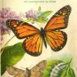 Butterflies and Moths by Zim, Herbert S.