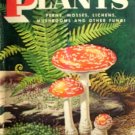 Non-Flowering Plants by Shuttleworth, Floyd S.