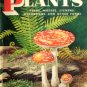Non-Flowering Plants by Shuttleworth, Floyd S.