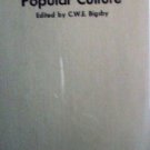 Approaches to Popular Culture by Bigsby (HB 1978 G )