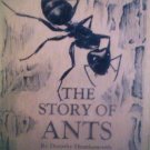 The Story of Ants by Dorothy Shuttlesworth (HB 1964 G)