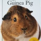 The Guinea Pig by Audrey Pavia (Hardcover 2001, New)