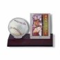 Ultra Pro Wood Base Ball & Card Holder (Dark Wood) Wooden Baseball Display Case