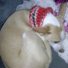 Dog Cowl(Neck Warmer)