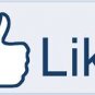 1000 Facebook  Fans/ Likes