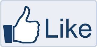 100 Facebook Likes