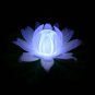 Glow Lily
