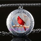 Red Cardinal Bird Cabochon LOCKET Pendant Silver Chain Necklace USA Ship #181