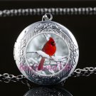 Cardinal Red Bird Cabochon LOCKET Pendant Silver Chain Necklace USA Ship #15