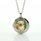 Dog Golden Retriever Cabochon LOCKET Pendant Silver Chain Necklace USA Ship #45