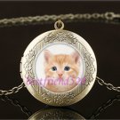 Orange Kitty Cat Cabochon LOCKET Pendant Bronze Chain Necklace USA Shipper #96