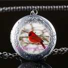 Red Cardinal Bird Cabochon LOCKET Pendant Silver Chain Necklace USA Ship #166