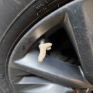 4pc Set LARGE PENIS Valve Stem CAP Cover Weenie Weiner - Cars Trucks Bikes PRANK 4pc Set LARGE PENIS Valve Stem CAP Cover Weenie Weiner - Cars Trucks Bikes PRANK