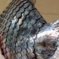 Beautiful Large Asian Articulated Silver Fish