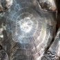 Beautiful Big Asian Silver Sitting Horse