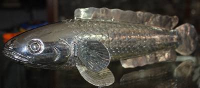 Asian Articulated Silver Fish #2